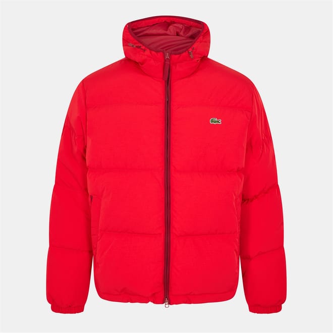 Hooded Puffer Jacket with Logo