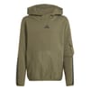 Regular Fit Hooded Neck Sweatshirt