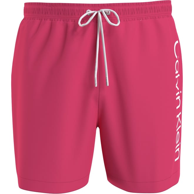 Large Logo Swim Shorts