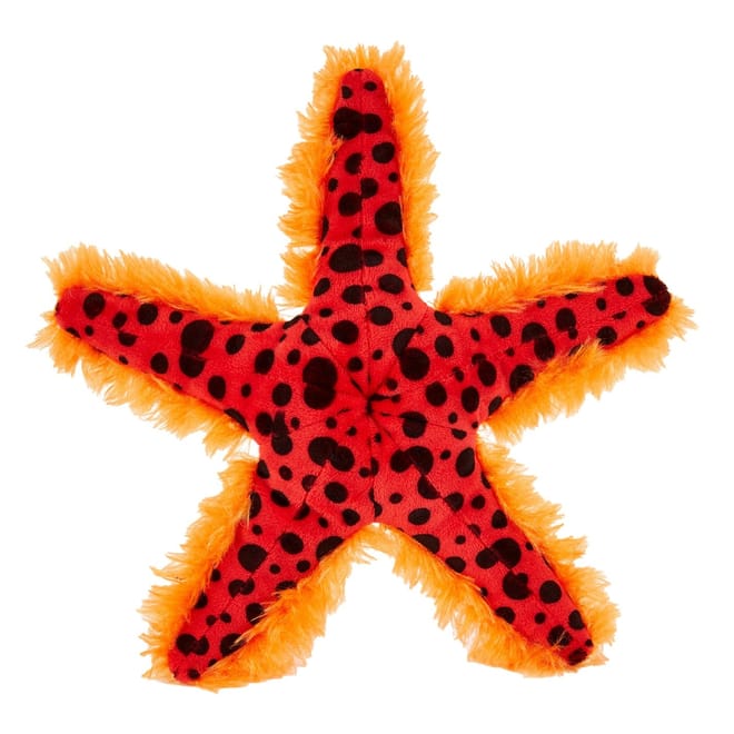 Co Chocolate Chip Sea Star Soft Toy 25 cm