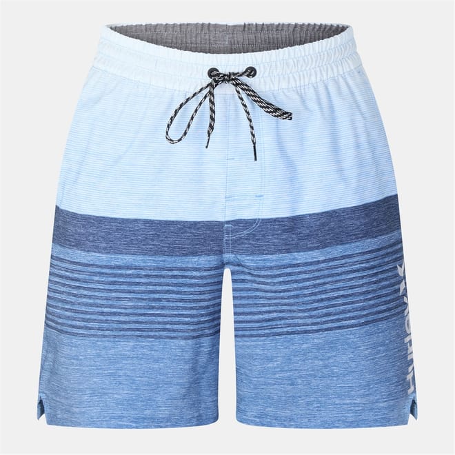 Regular Fit Horizontal Stripe Swim Shorts