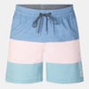 Relaxed Fit Color Block Swim Shorts