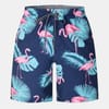 Swim Shorts