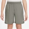 Multi Big Kids (boys) Dri Fit Training Shorts