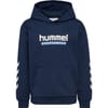 Logo Hoodie Junior