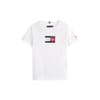 Script Flg Tee
