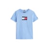 Script Flg Tee