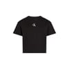 CK Logo Boxy Fit Cropped T-Shirt