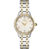 Set Analogue Steel Bracelet Dress Watch