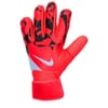 Match Goalkeeper Gloves