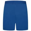 Poly Shorts