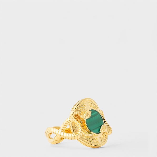 Ring Snake