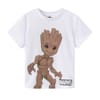 Short Sleeve T-Shirt Juniors