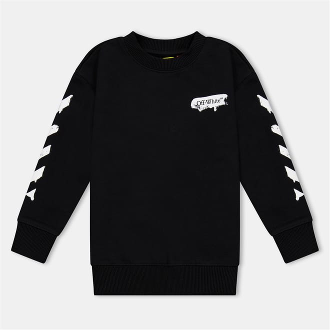 Graphic Regular Fit Crew Neck Sweater