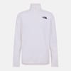 Mens 100 Glacier Quarter Zip Fleece