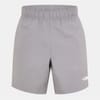 Mens North Face M 24 7 Embossed Shorts Pearl Mist S Tracksuit Shorts