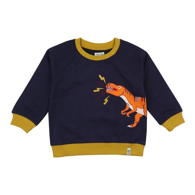 Dino Embroidered Raglan Sleeve Sweatshirt