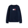 Regular Fit Crew Neck Sweatshirt