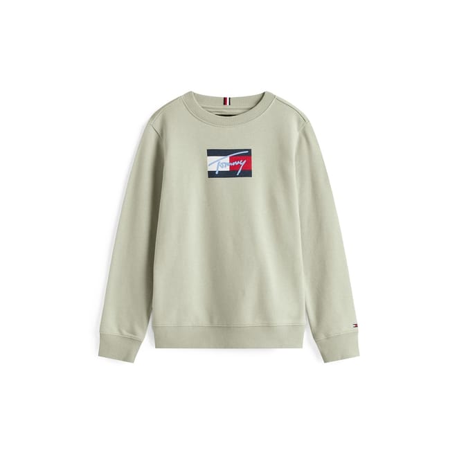 Regular Fit Crew Neck Sweatshirt