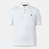 Regular Fit Polo Shirt