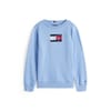Regular Fit Crew Neck Sweatshirt