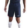 Strike Football Shorts Adults