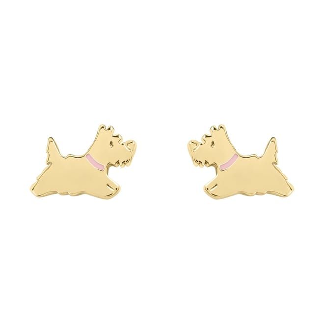 Gp Dog Earng