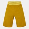Mens Walking Shorts