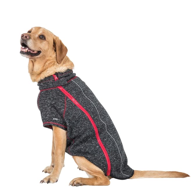Boomer Dog Fleece