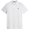 Bridge Polo