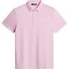 Bridge Polo