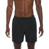 5in Volley Shorts