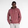 Regular Fit Hooded Neck Long Sleeve Sweatshirt