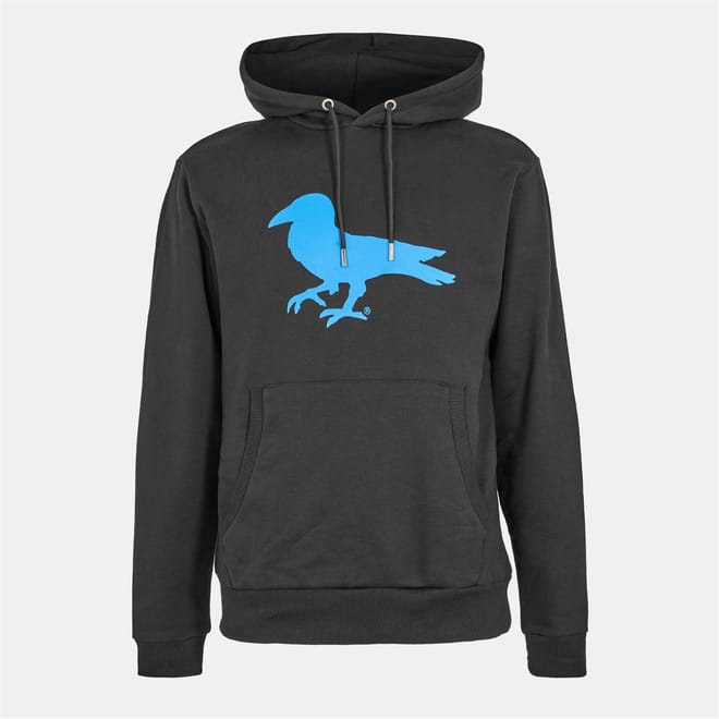 Sentimental Robin Graphic Sweatshirt