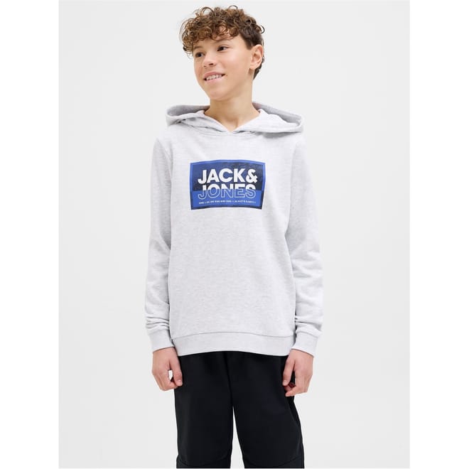 Logan Regular Fit Hooded Sweatshirt