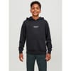 Regular Fit Hooded Neck Long Sleeve Sweatshirt