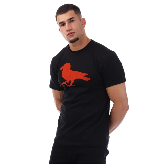 Robin Graphic Regular Fit Crew Neck T-Shirt