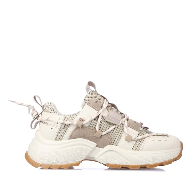 Tazmania Trainers