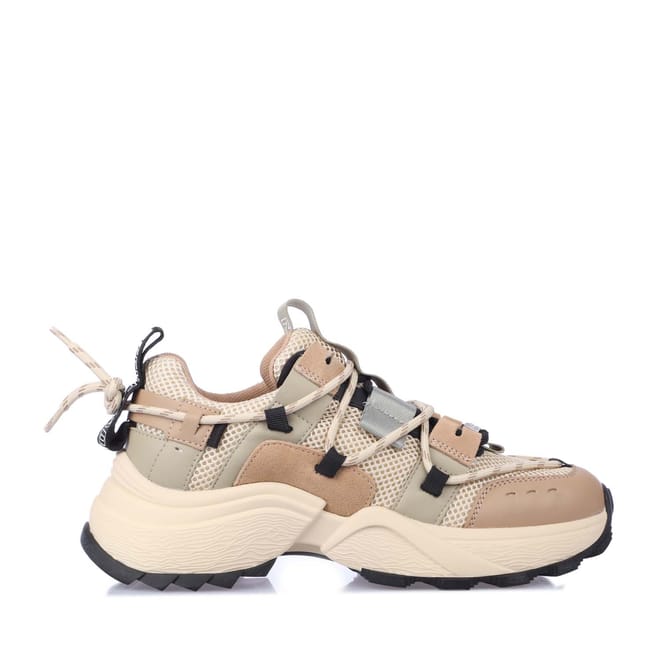 Tazmania Trainers