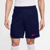 Strike Football Shorts Adults