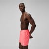 Mens Essentials 16 Inch Watershorts