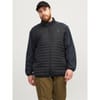 Solid Patterned Puffer Jacket