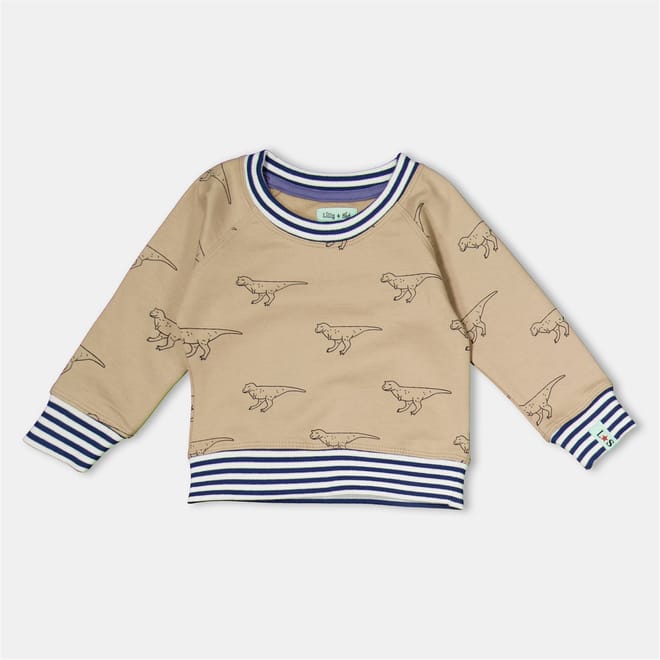 Dino Prt Swtsht