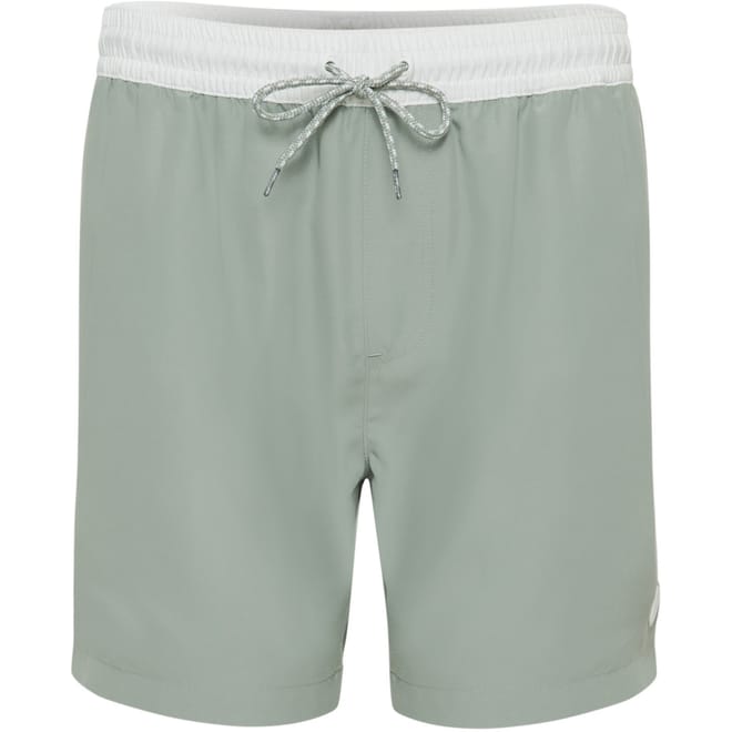 Plunging Neck Regular Fit Swim Shorts