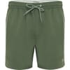 Brir Swim Shorts