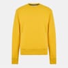 Basics Regular Fit Crew Neck Sweater