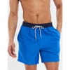 Plunging Neck Regular Fit Swim Shorts