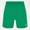 Basics Shorts