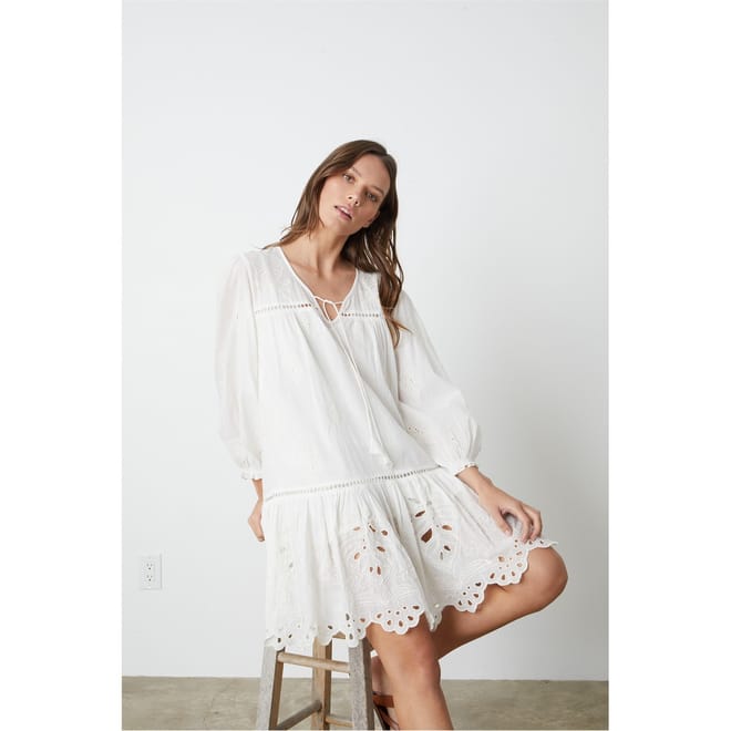 Embroidered V-Neck Mini Shift Dress
