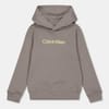 Regular Fit Hooded Neck Sweatshirt